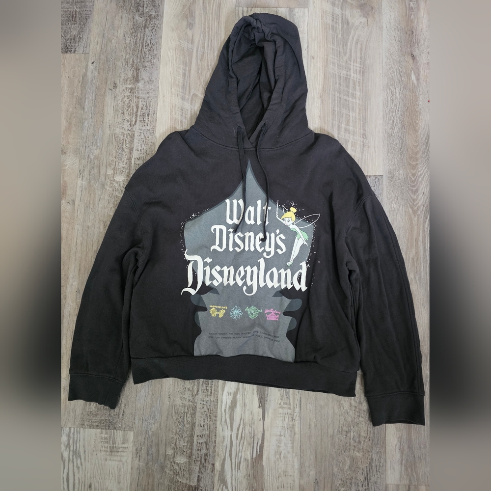 Walt Disney Disneyland 100 Hoodie